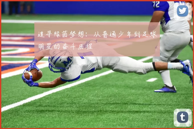 追寻绿茵梦想：从普通少年到足球明星的奋斗历程