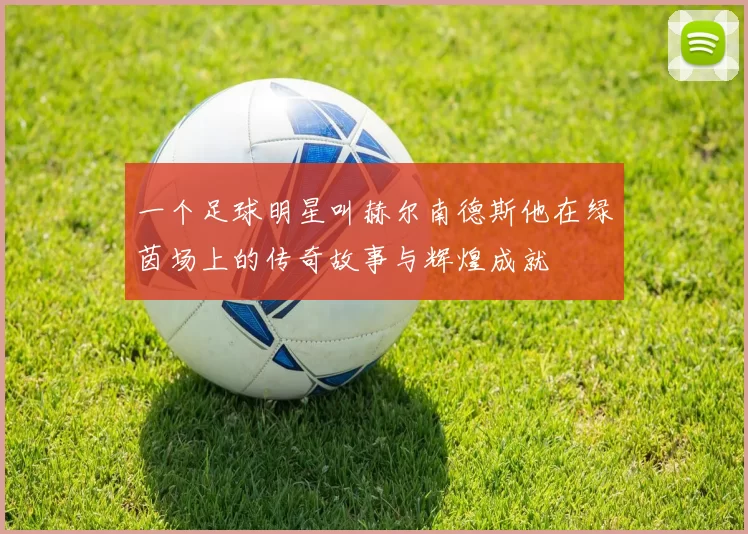 一个足球明星叫赫尔南德斯他在绿茵场上的传奇故事与辉煌成就