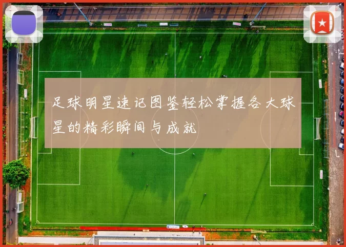 足球明星速记图鉴轻松掌握各大球星的精彩瞬间与成就