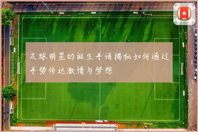 足球明星的诞生手语揭秘如何通过手势传达激情与梦想